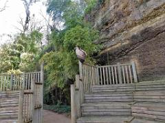 149 BIO PARC DE DOUE LA FONTAINE 7- 2016_000008